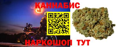 мяу мяу мука Кингисепп