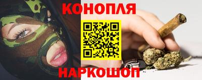 мяу мяу мука Кингисепп