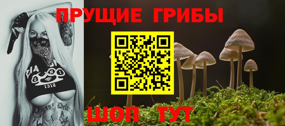 Псилоцибиновые грибы мухоморы Кузнецк