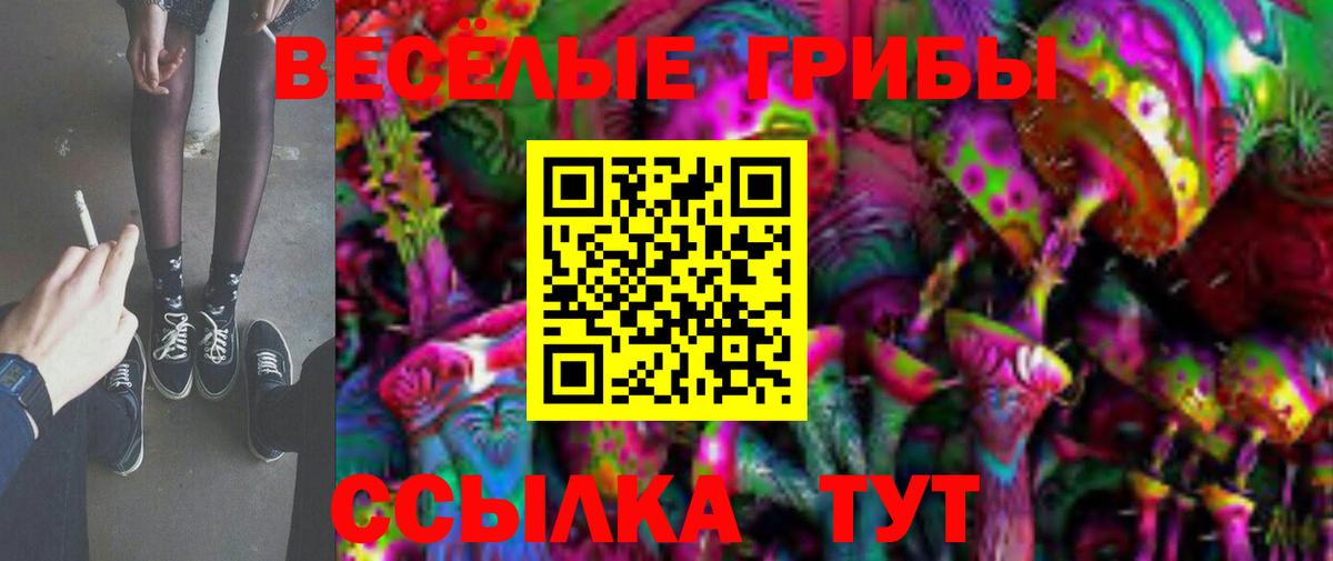 Кузнецк  Галлюциногенные грибы Magic Shrooms  Вход с VPN 